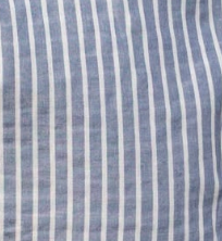 swatch_Blue/Ivory striped button down shirt