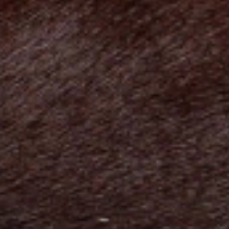 swatch_Bordo Haircalf l'idea haircalf penny loafer
