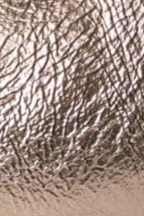 swatch_Bronze leather gil pump