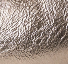 swatch_Bronze leather gil pump