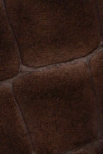 swatch_Brown Croco Suede angel alarcon short leather boot