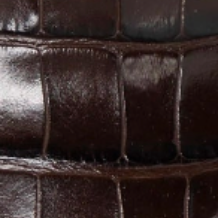 swatch_Brown Croco l'idea croc embossed loafer