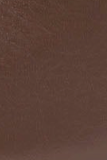 swatch_Brown Leather nova roma high heel pump