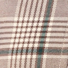 swatch_Brown Plaid central park west dean plaid jacket
