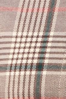 swatch_Brown Plaid central park west dean plaid jacket