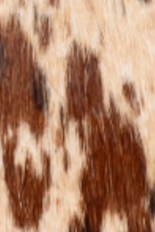 swatch_Brown Spotted Haircalf l'idea ruched penny loafer