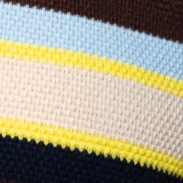 swatch_Brown Stripe central park west marlon polo
