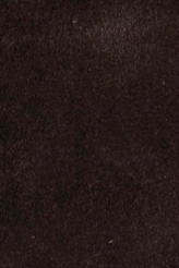 swatch_Brown Suede nova roma foldover boot with tassel