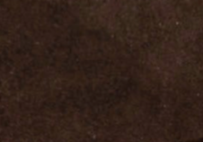 swatch_Brown Suede inuovo studded fringe mocassin