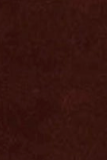 swatch_Brown Suede steve madden playing wedge thong sandal