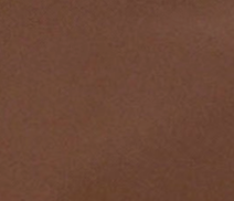 swatch_Brown noa camera bag handbags