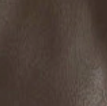 swatch_Brown nala leather gloves