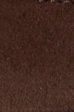 swatch_Brown victoria saturno sneaker