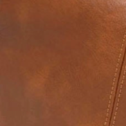 swatch_Brown josie hobo bag