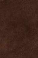 swatch_Brown como italian suede fringe toate
