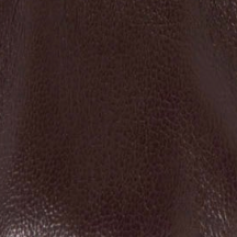 swatch_Burgundy Leather alohas sarea ballet flat mary jane