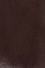 swatch_Burgundy Leather alohas sarea ballet flat mary jane
