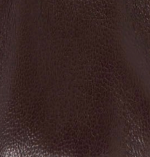 swatch_Burgundy Leather alohas sarea ballet flat mary jane