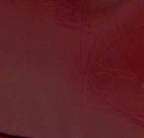 swatch_Burgundy ruthie shoulder bag