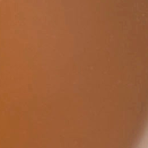 swatch_Caramel intentionally blank agatha leather clog