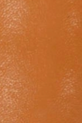 swatch_Camel Leather l'idea slingback pump