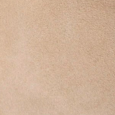 swatch_Camel Suede l'idea suede loafer