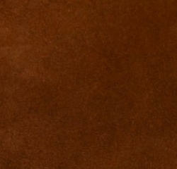 swatch_Camel Suede angel alarcon jenna mary jane