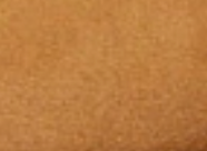 swatch_Camel plia amber shearling clog