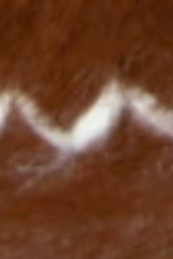 swatch_Camel shearling lined moccasin