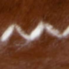 swatch_Camel shearling lined moccasin