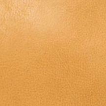 swatch_Camel latico fiona leather crossbody bag