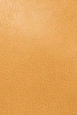 swatch_Camel latico fiona leather crossbody bag
