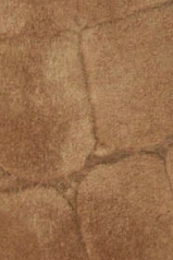 swatch_Caramel Croc halmanera ivet mule clog