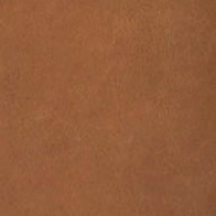 swatch_Caramel Leather stefenia platform sandal angel alarcon