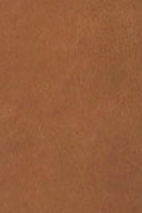 swatch_Caramel Leather stefenia platform sandal angel alarcon