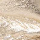 swatch_Champagne Leather fabiolas susana mary jane espadrille