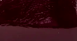 swatch_cherry patent leather mary jane flat shoes