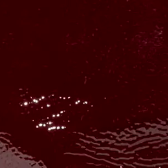 swatch_Cherry Patent giselle ankle boot ankle boots