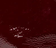 swatch_Cherry Patent giselle ankle boot ankle boots