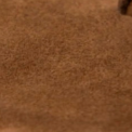 swatch_Chestnut Suede steve madden tracie thong sandal