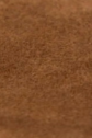 swatch_Chestnut Suede steve madden tracie thong sandal