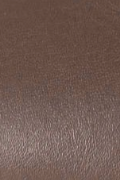 swatch_Chestnut alohas sway ballet flat