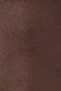 swatch_Chocolate Leather Tony bianco brash flat