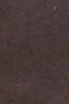 swatch_Chocolate Suede l'idea sneakerina