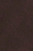 swatch_Chocolate Suede daney boot shoes