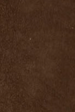 swatch_Chocolate Suede l'idea shearling trim ankle bootie