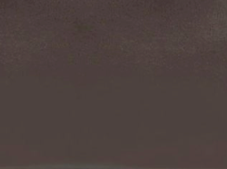 swatch_Chocolate reese tote handbags