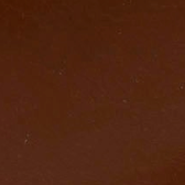 swatch_Chocolate martine wedge thong sandal