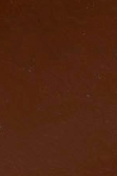 swatch_Chocolate martine wedge thong sandal