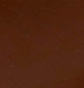 swatch_Chocolate martine wedge thong sandal